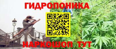 бошки Лесосибирск