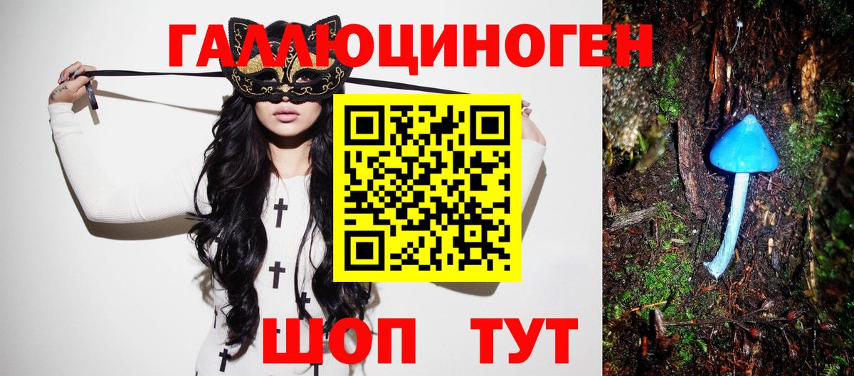Псилоцибиновые грибы Psilocybe Советск