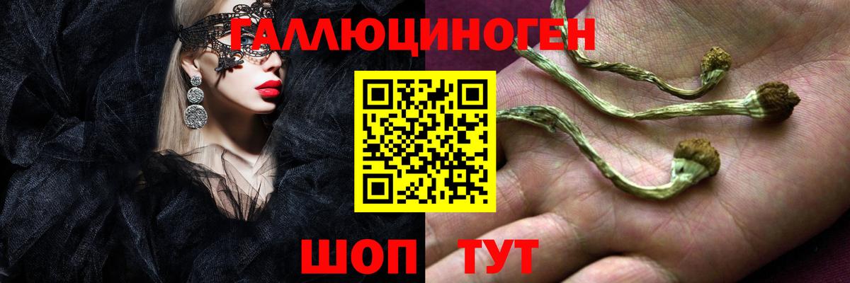 Псилоцибиновые грибы Cubensis  Галлюциногенные грибы Cubensis  Вход с VPN  Советск 